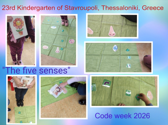 The five senses